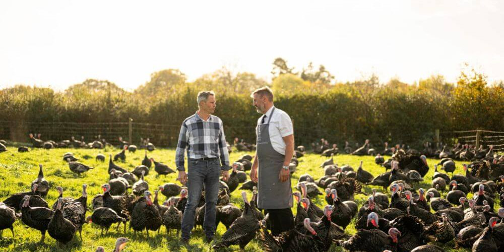 Know your Christmas Turkey