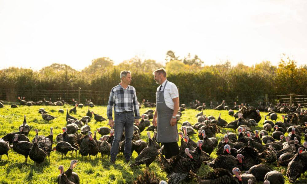 Know your Christmas Turkey