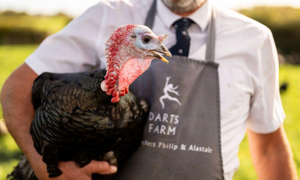 Closeup_Turkey_1000x600