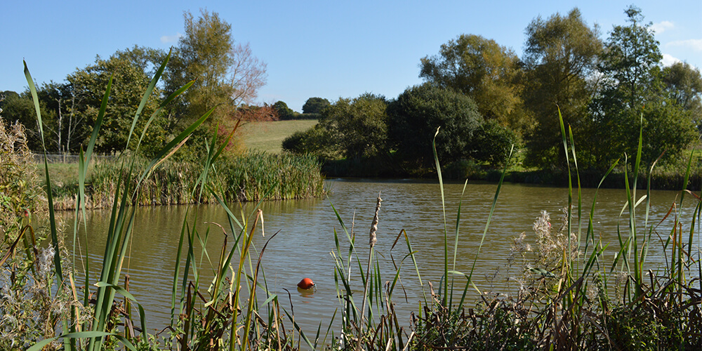 1000x500 wetlands-pond-darts-farm-devon