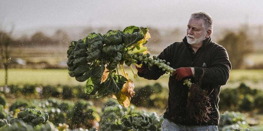 Darts Farm Brussel Sprouts, Pancetta & Chilli Jam