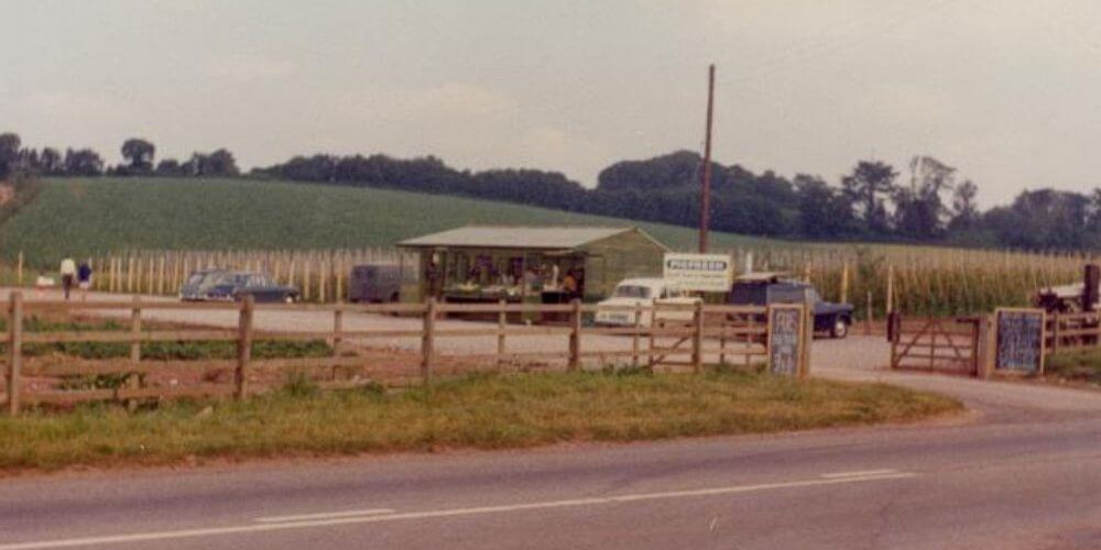 The Start of a Milestone Year