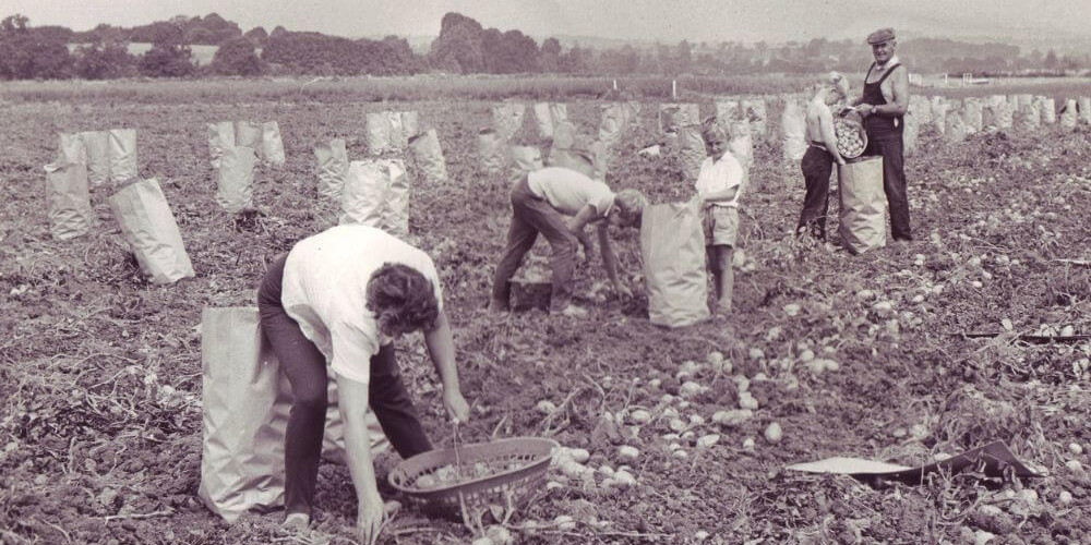 Food, Farming and thoughts for the future