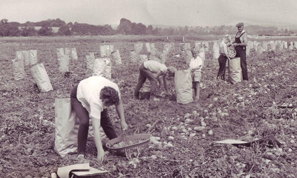 Food, Farming and thoughts for the future