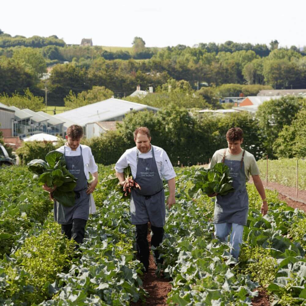 Tom's Kimchi Image 1