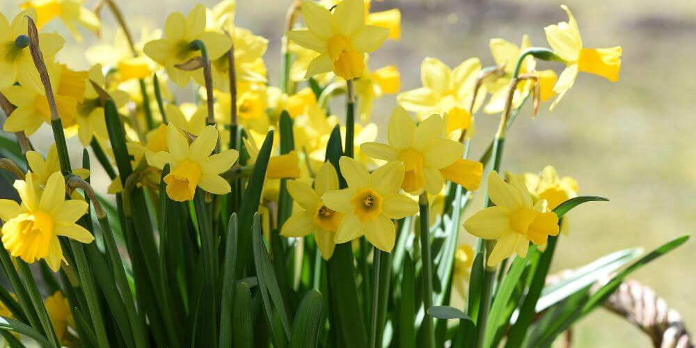 What's On This Easter