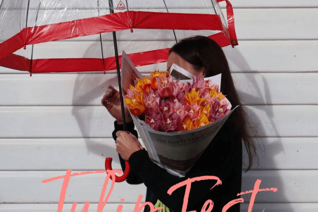 Tulip Fest