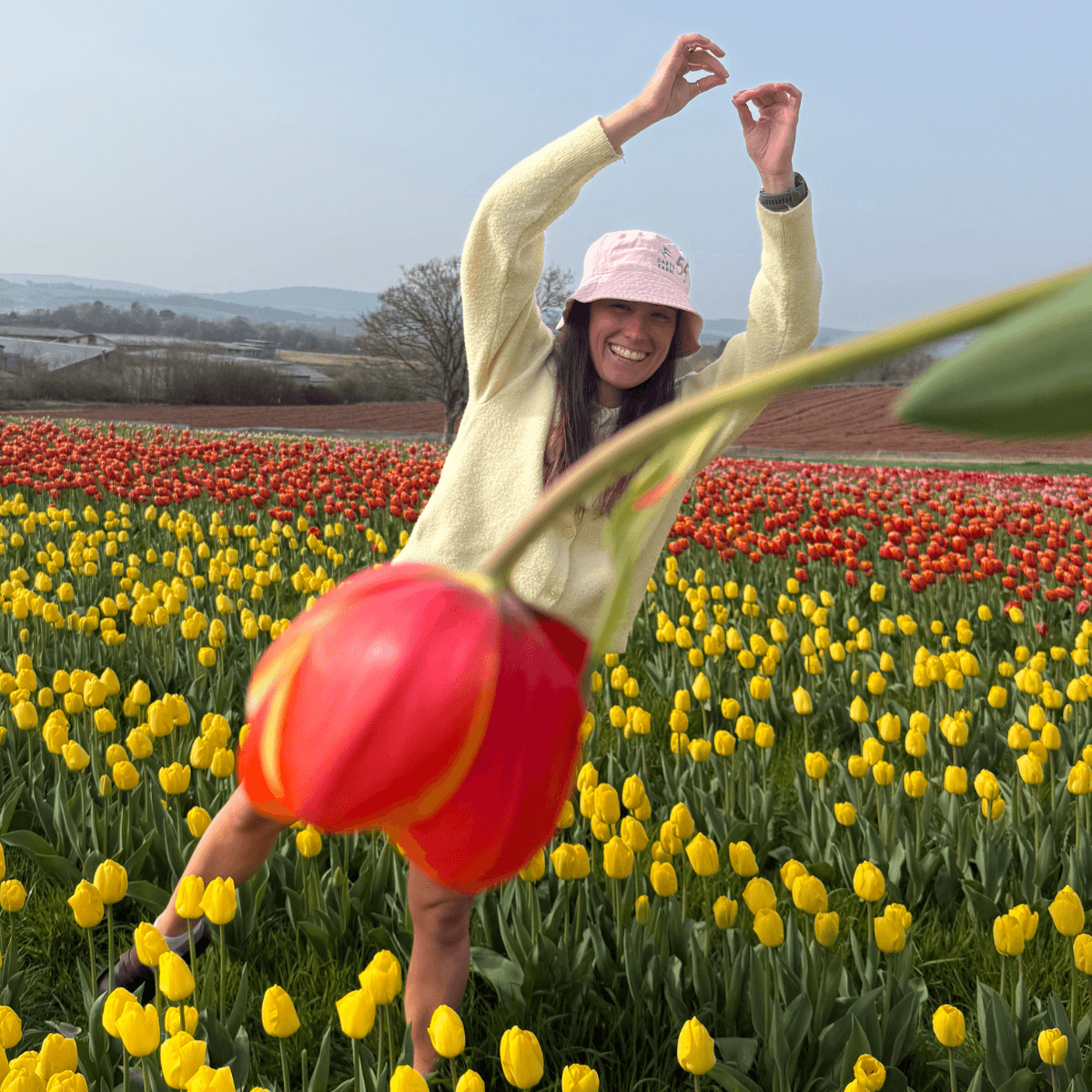 Darts_FarmTulip_Fest_Field_1200x1200