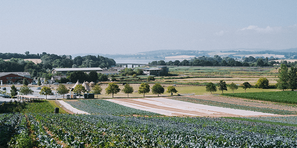 farm-walk-our-fields-loal-fresh-darts-farm-devon_1000x500