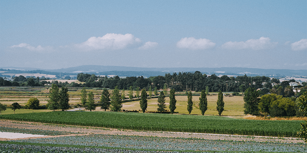 devon-landscape-farm-walk-our-fields-darts-farm-exeter_1000x500