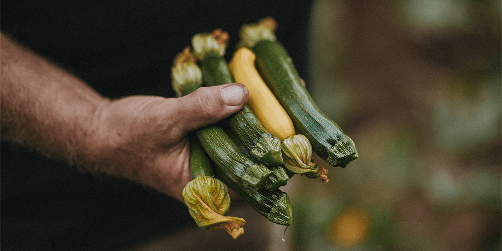 Sally's BGE Grilled Courgettes