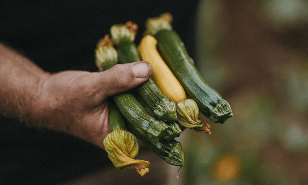 Sally's BGE Grilled Courgettes