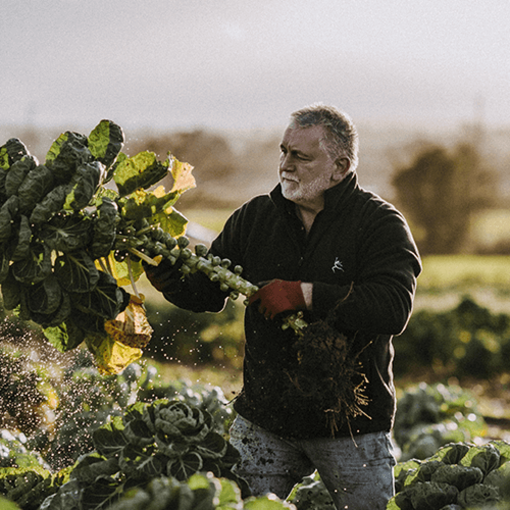Parmesan Brussels Sprouts Image 1