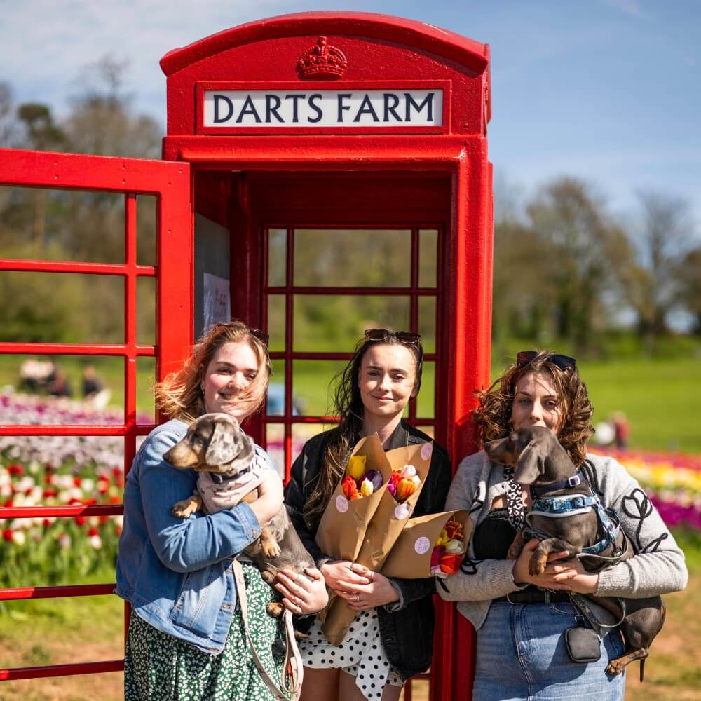 Tulip_Fest_Friends_Telephone_Box_1000x1000