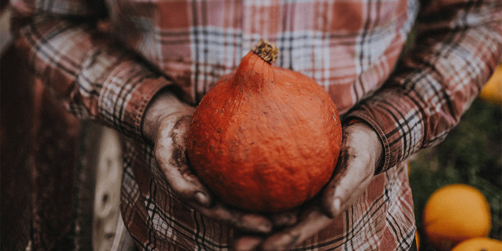 HOW TO USE YOUR LEFTOVER PUMPKINS!