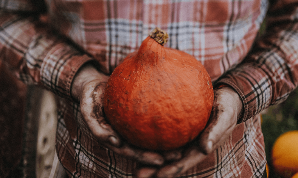 HOW TO USE YOUR LEFTOVER PUMPKINS!