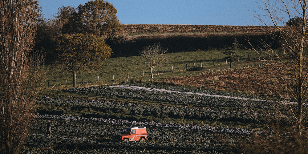 October in The Farm Table
