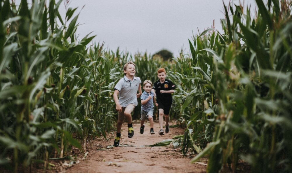 KIDS_RUNNING_MAIZE_1000X600
