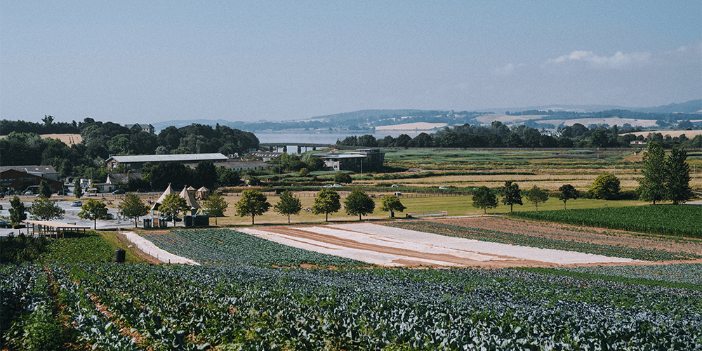 our-fields-farming-darts-farm-devon_1000x500