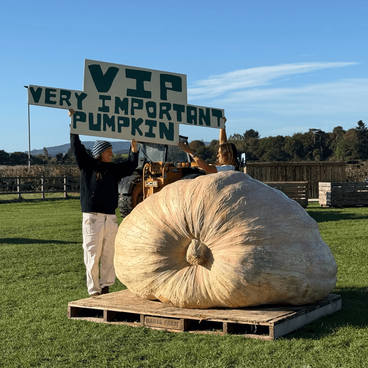 two girls stood with one of the worlds biggest pumpkins ever grown holding a sign at Darts Farm