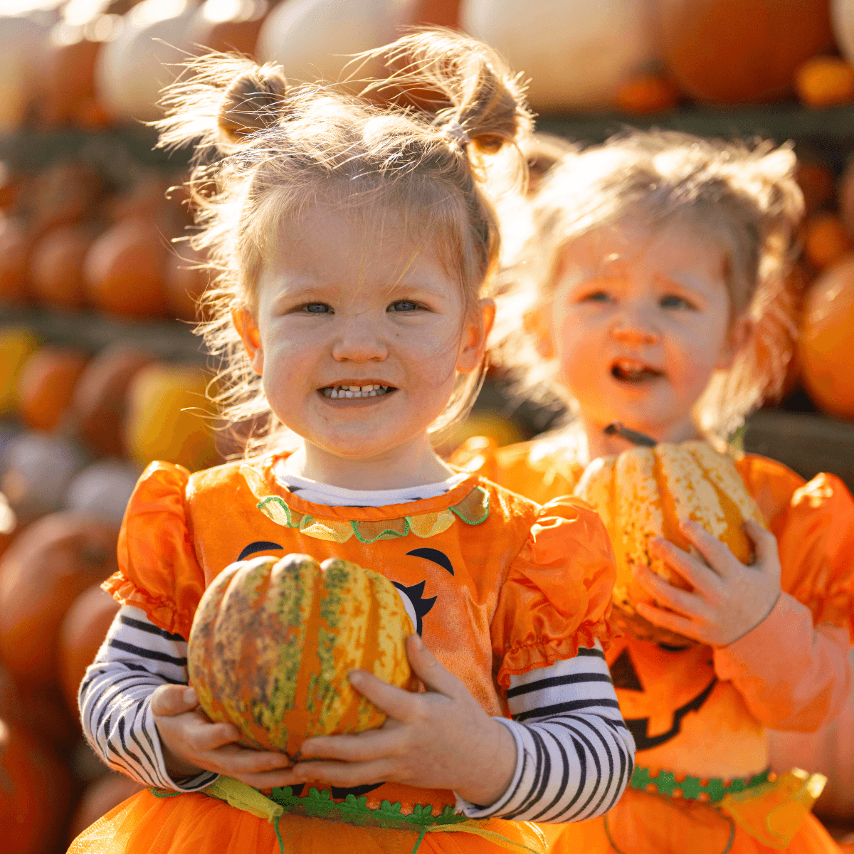 Pumpkin_Darts_Farm_Twins_1200x1200