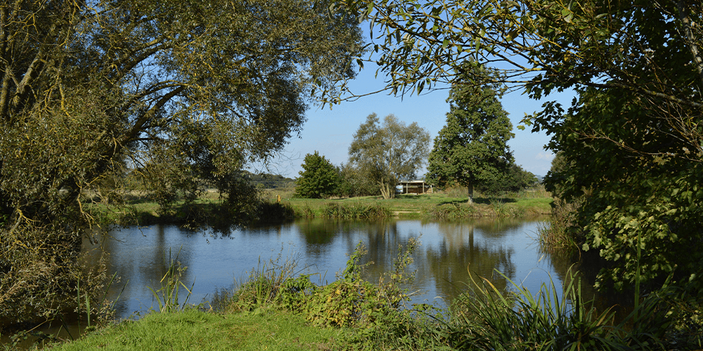 wetland-bird-hide-rspb-darts-farm-devon_1000x500